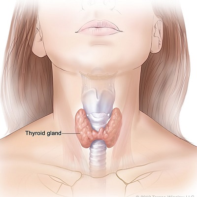Thyroid Cancer Treatment in Abu Dhabi