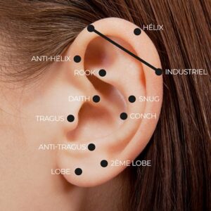 Blog 15 Ear Piercing Price in Abu Dhabi