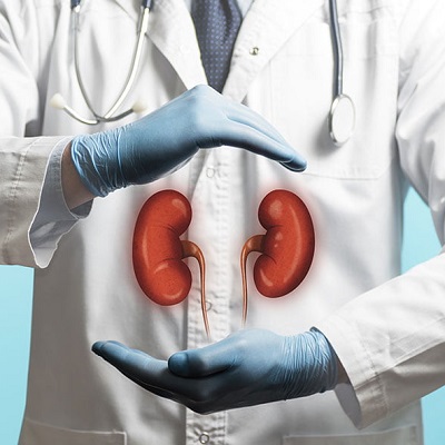 Blood Test for Kidney Function at Home 2 Blood Test for Kidney Function